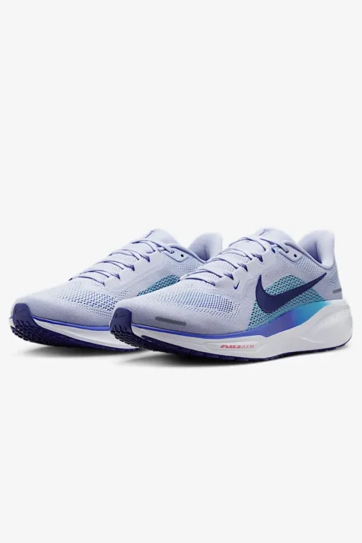 Nike Schoenen^Runningschoenen heren nt grijs