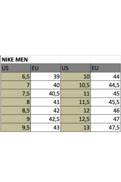 Nike Schoenen^Runningschoenen heren nt grijs