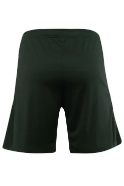 Nike Sport Style^Voetbal heren short replica groen