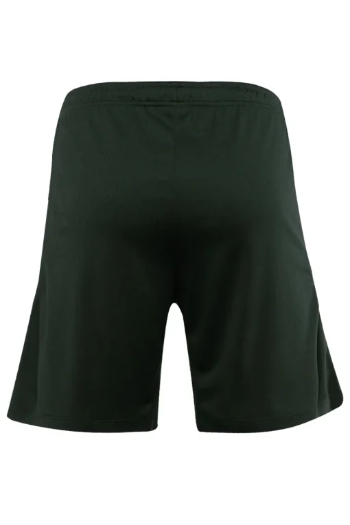 Nike Sport Style^Voetbal heren short replica groen